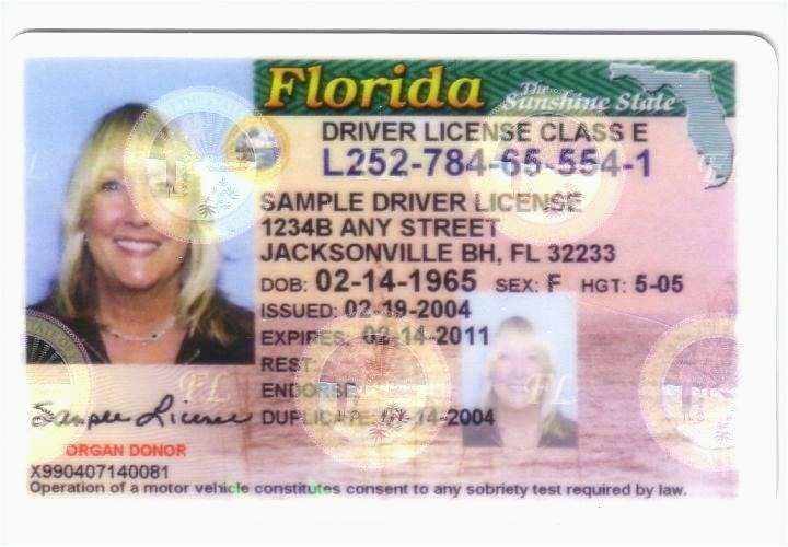 free florida drivers license template